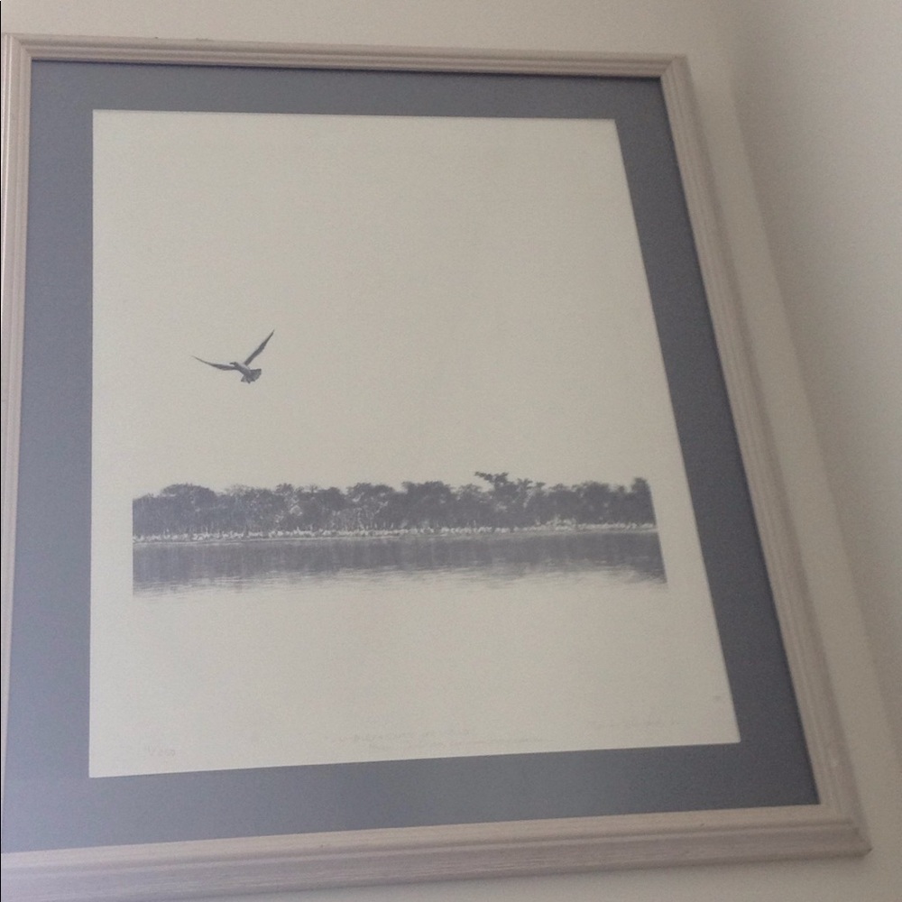 Meet your Posher, Nadi